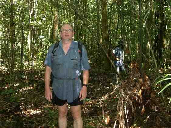 /files/travel/brazil_jungle.jpg